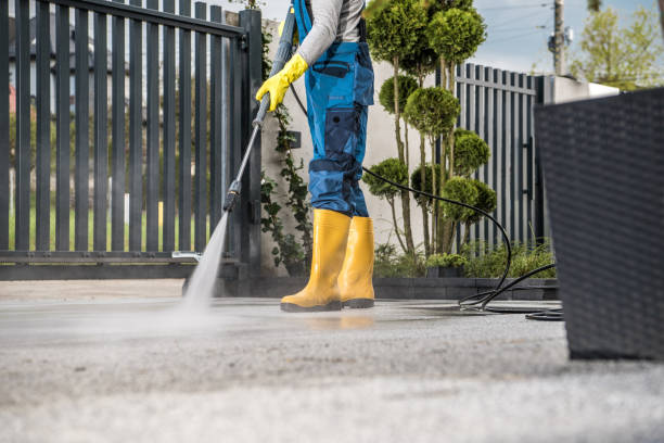 Spring Cleaning in New Port Richey East, FL